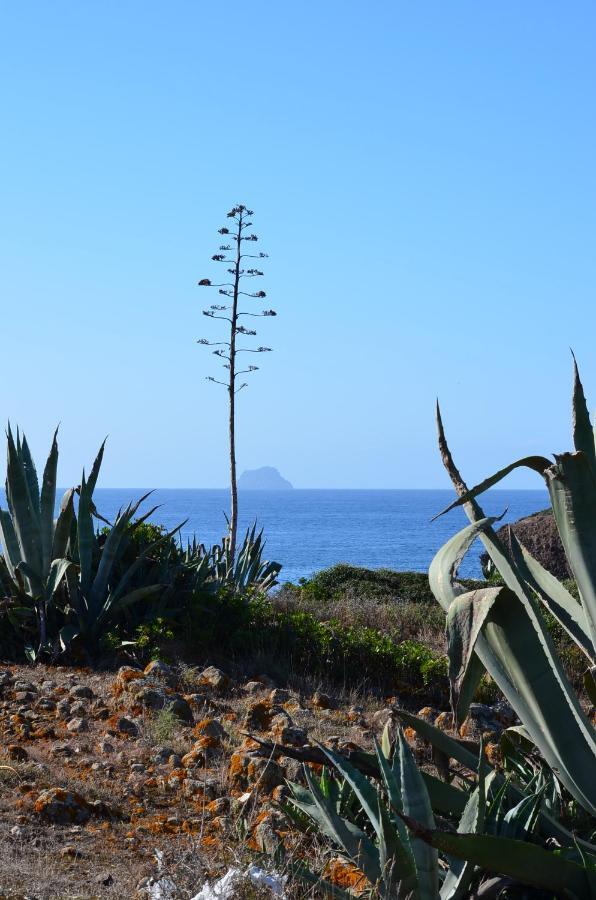 Casa Vacanze Cala Sapone SantʼAntìoco Zewnętrze zdjęcie